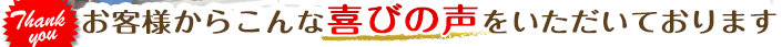 �y�b�g�ƈꏏ�ɔ��܂�違�V�N�{�����H�ׂ�鍑���h��